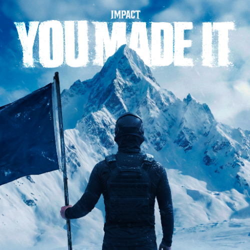 Pochette de YOU MADE IT